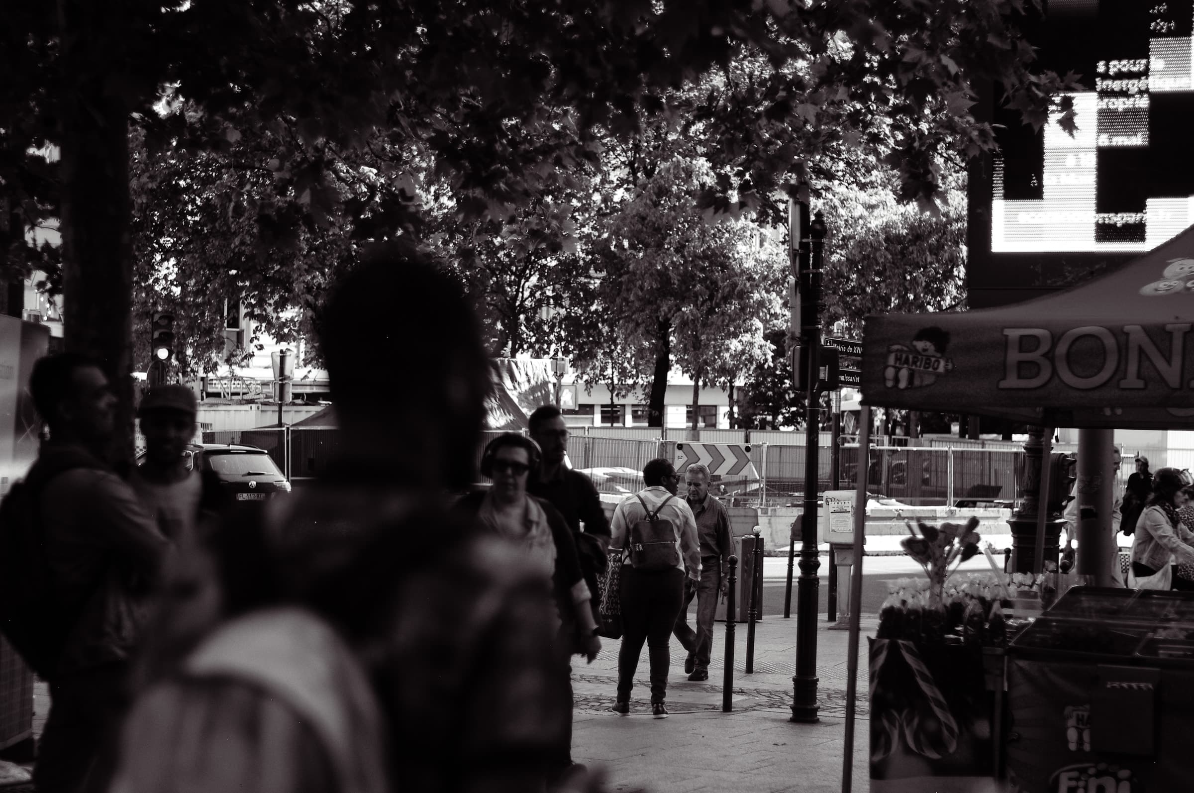 People walking along a shaded pavement beneath the trees